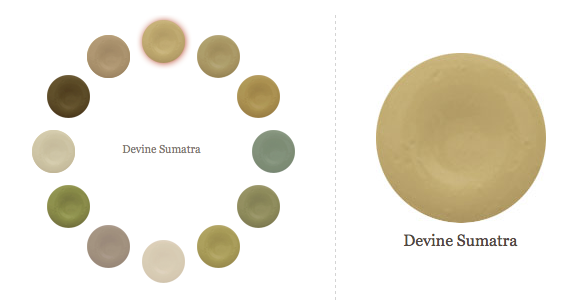 Devine Paint Sumatra